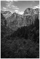 Zion Canyon from Upper Emerald Pool. Zion National Park ( black and white)