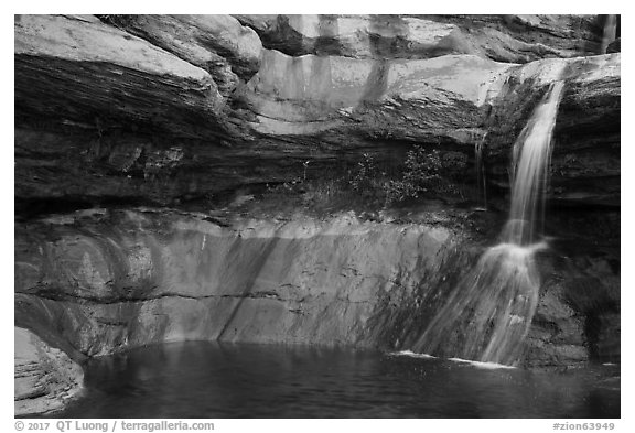 Pine Creek waterfall. Zion National Park (black and white)