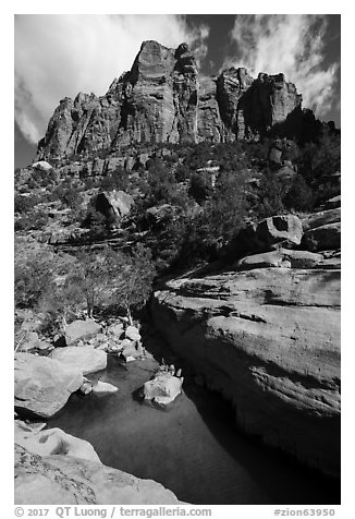 Tower above pool in Pine Creek Canyon. Zion National Park (black and white)