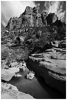 Tower above pool in Pine Creek Canyon. Zion National Park ( black and white)