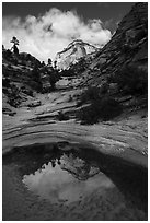 Pothole and reflection, Zion Plateau. Zion National Park ( black and white)