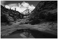 Peak reflected in pothole, Zion Plateau. Zion National Park ( black and white)