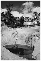 Pothole and slickrock, Zion Plateau. Zion National Park ( black and white)