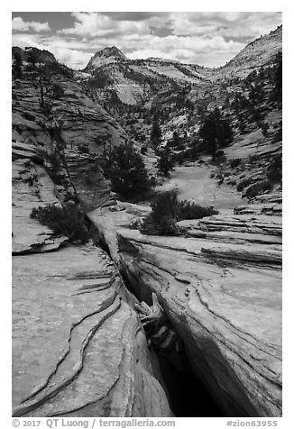 Crack, Zion Plateau. Zion National Park (black and white)