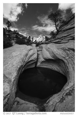 Pothole and sculptured slickrock, Zion Plateau. Zion National Park (black and white)