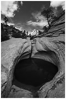 Pothole and sculptured slickrock, Zion Plateau. Zion National Park ( black and white)