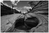 Pothole and slickrock, Zion Plateau. Zion National Park ( black and white)