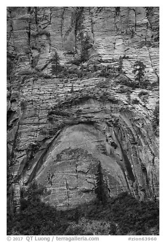 Large alcove. Zion National Park (black and white)