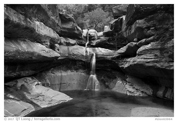 Pine Creek Falls. Zion National Park (black and white)