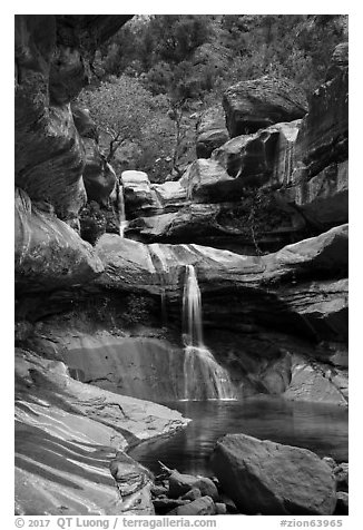 Pine Creek Falls in Pine Creek Canyon. Zion National Park (black and white)