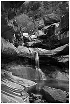 Pine Creek Falls in Pine Creek Canyon. Zion National Park ( black and white)