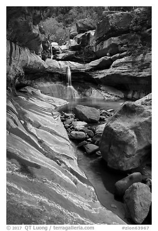 Pine Creek Canyon and Pine Creek waterfall. Zion National Park (black and white)