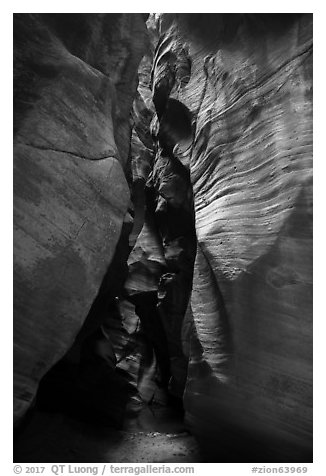 Narrows, Pine Creek Canyon. Zion National Park (black and white)