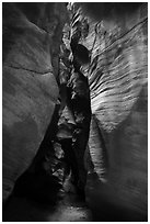 Narrows, Pine Creek Canyon. Zion National Park ( black and white)