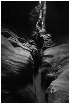 Subterranean Pine Creek Canyon narrows. Zion National Park ( black and white)