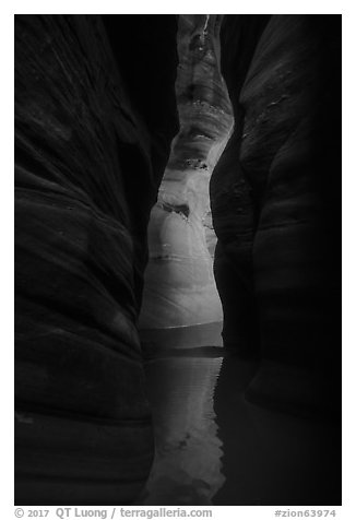 Glow in dark narrows, Pine Creek Canyon. Zion National Park (black and white)