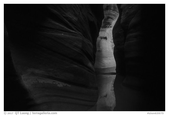 Dark narrows with glowing wall, Pine Creek Canyon. Zion National Park (black and white)