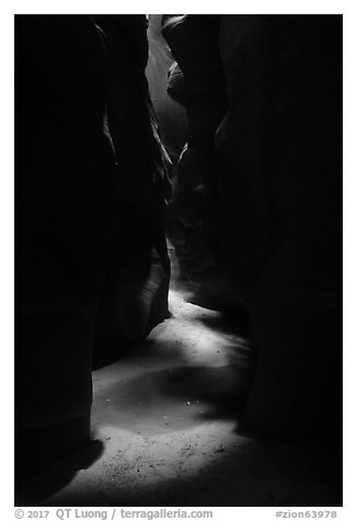 Pine Creek Canyon floor. Zion National Park (black and white)