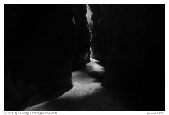 Pine Creek Canyon floor between narrow walls. Zion National Park (black and white)
