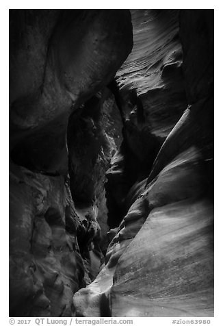 Colorful slot canyon walls, Pine Creek Canyon. Zion National Park (black and white)