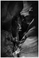 Colorful slot canyon walls, Pine Creek Canyon. Zion National Park ( black and white)