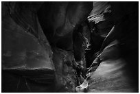 Sculptured slot canyon walls, Pine Creek Canyon. Zion National Park ( black and white)
