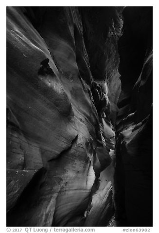 Flash-flood Sculptured slot canyon walls, Pine Creek Canyon. Zion National Park (black and white)
