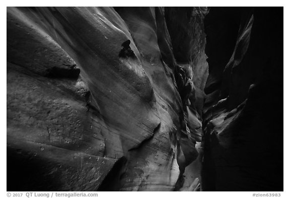 Narrow canyon walls sculptured by flash floods, Pine Creek Canyon. Zion National Park (black and white)
