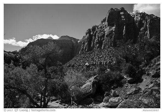 Pine Creek Canyon. Zion National Park (black and white)