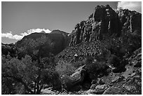 Pine Creek Canyon. Zion National Park ( black and white)