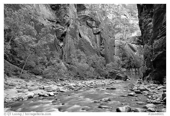 Virgin River flowing over stones in the Narrows. Zion National Park (black and white)