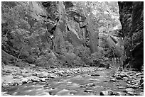 Virgin River flowing over stones in the Narrows. Zion National Park ( black and white)