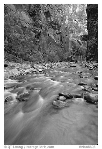 Virgin River and steep canyon walls in the Narrows. Zion National Park (black and white)