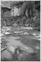 Rock alcove and Virgin River, the Narrows. Zion National Park ( black and white)