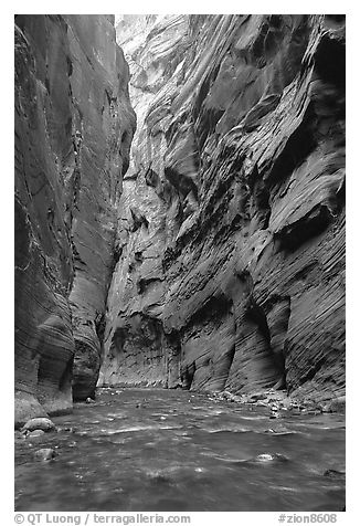 Slot canyon like walls, Wall Street, the Narrows. Zion National Park (black and white)