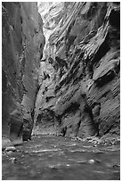 Slot canyon like walls, Wall Street, the Narrows. Zion National Park ( black and white)