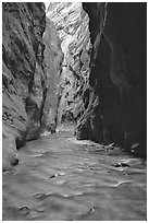 Virgin River flowing between  rock walls of Wall Street, the Narrows. Zion National Park, Utah, USA. (black and white)