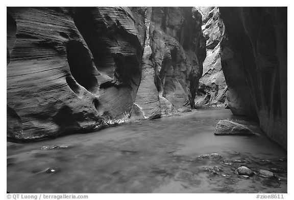 Dark canyon at Wall Street, the Narrows. Zion National Park (black and white)