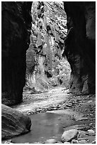 Wall Street, the Narrows. Zion National Park, Utah, USA. (black and white)