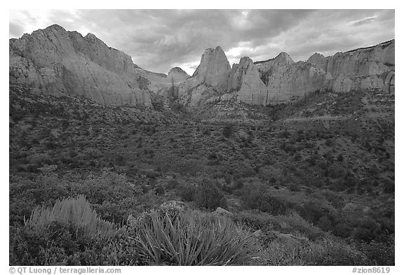 Panoramic view of Kolob Canyons at sunset. Zion National Park (black and white)