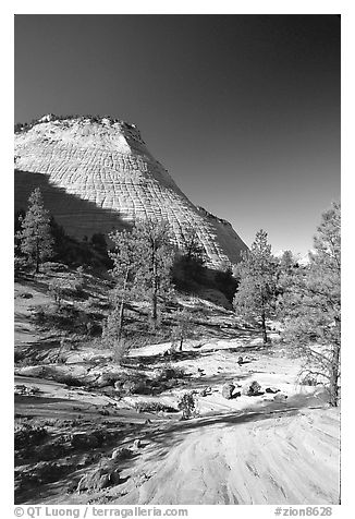 Checkerboard Mesa, morning. Zion National Park (black and white)