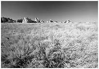 Tall grass prairie near Cedar Pass. Badlands National Park ( black and white)