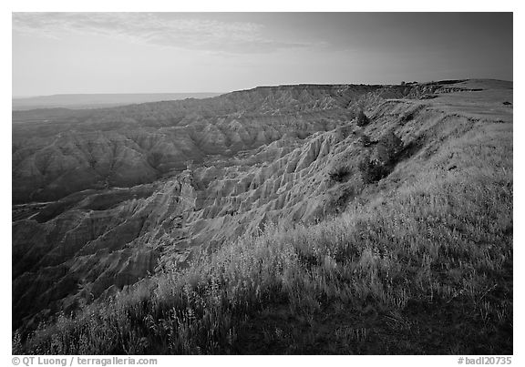 Prairie grasses and erosion canyon,  southern unit, sunrise. Badlands National Park (black and white)
