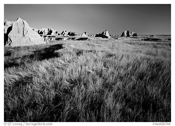Tall grass prairie and badlands near Cedar Pass. Badlands National Park (black and white)