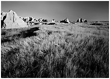 Tall grass prairie and badlands near Cedar Pass. Badlands National Park ( black and white)