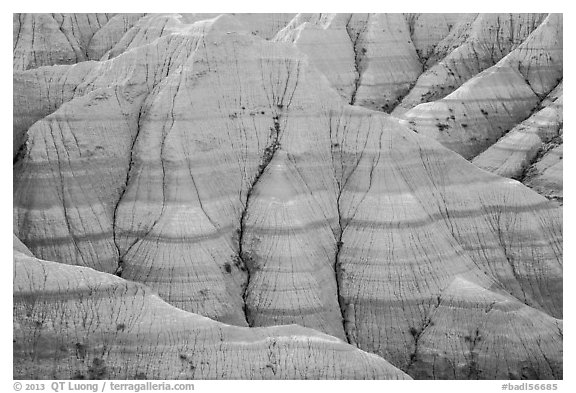 Paleosols fossil soils mixed with Brule Formation. Badlands National Park (black and white)