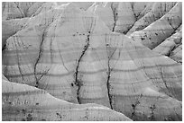 Paleosols fossil soils mixed with Brule Formation. Badlands National Park ( black and white)