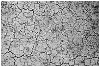 Cracks in yellow fossil soil. Badlands National Park ( black and white)