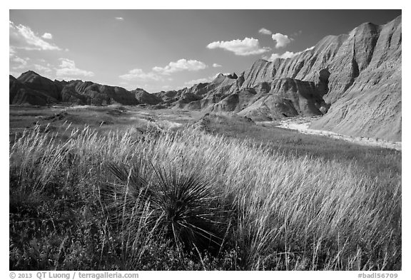 Grasses and badlands in Conata Basin. Badlands National Park (black and white)