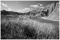 Grasses and badlands in Conata Basin. Badlands National Park, South Dakota, USA. (black and white)